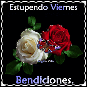 Frases de llego el viernes