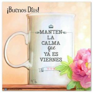 Frases De Viernes Chistosas