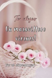 Frases Del Viernes Fin De Semana