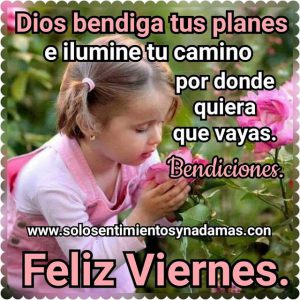 Frases Dia Viernes Graciosas