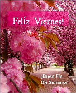 Frases E Imagenes De Viernes