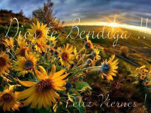 Frases Lindas De Feliz Viernes