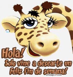 Frases Motivadoras Fin De Semana