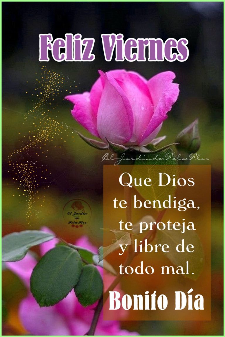 Frases Para Desear Un Feliz Viernes