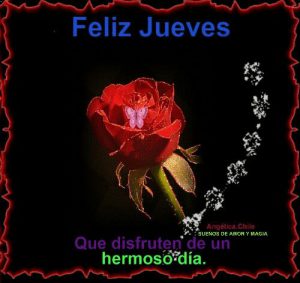 Frases Para Hoy Jueves Para Celular Descargar