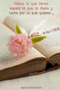 Frases para viernes con imágenes