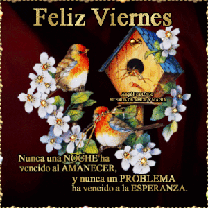 Hermoso viernes frases para WhatsApp
