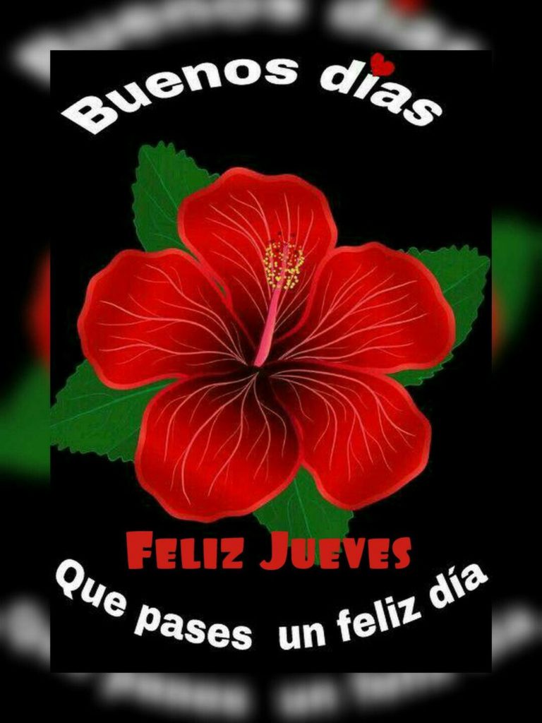 Hoy Es Jueves Imagenes Para Celular Descargar