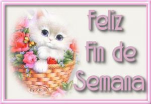 Hoy fin de semana