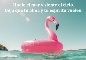 Huele El Mar Y Siente El Cielo Deja Que Tu Alma Y Tu Espiritu Vuelen frases bonitas