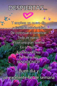 Imagen De Fin De Semana Feliz