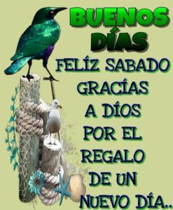 Imagen De Viernes Fin De Semana