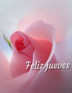 Imagenes Bonitas Feliz Jueves Para Celular Descargar