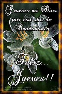 Imagenes Con Frases De Feliz Jueves Para Facebook