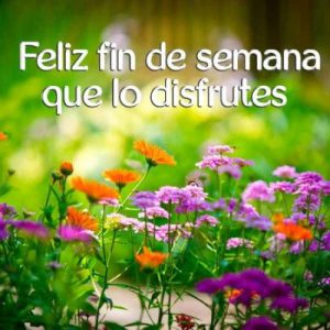 Imagenes Cristianas De Feliz Fin De Semana