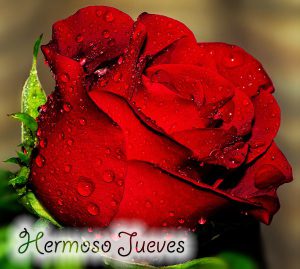 Imágenes cristianas para hoy jueves para Facebook