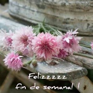 Imagenes De Buen Fin De Semana Graciosas