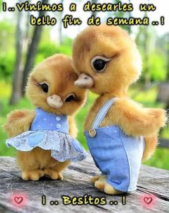 Imagenes De Buenos Deseos De Fin De Semana