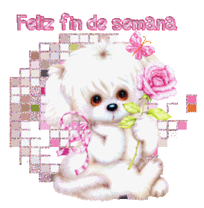 Imágenes de excelente inicio de semana