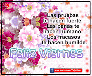 Imágenes de excelente viernes