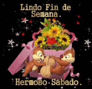 Imágenes de feliz fin de semana familia