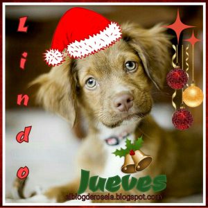 Imagenes De Feliz Jueves Para Facebook Para Celular Descargar