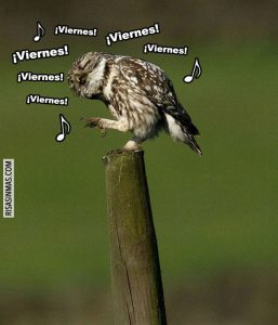 Imagenes De Feliz Viernes Chistosas