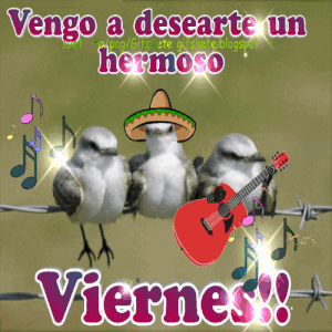 Imágenes de feliz viernes mi amor