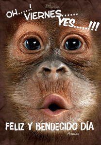 Imagenes De Feliz Viernes Para Facebook