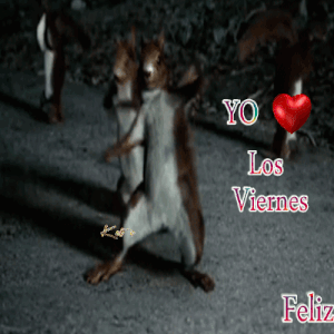 Imágenes de feliz viernes para mi amor