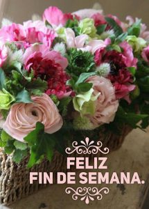 Imagenes De Fin De Semana Bonitas