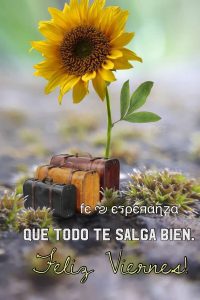 Imagenes De Hoy Es Viernes De Beber