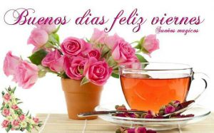 Imagenes De Hoy Viernes