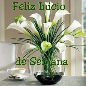 Imagenes De Inicio De Semana