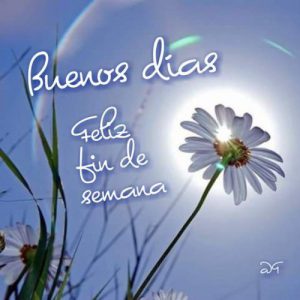 Imagenes De Lindo Inicio De Semana