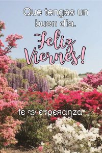 Imagenes De Lindo Viernes