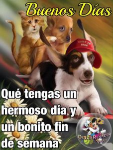 Imagenes De Reflexion En Semana Santa