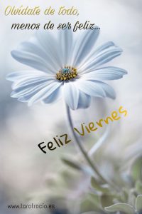 Imagenes De Un Viernes