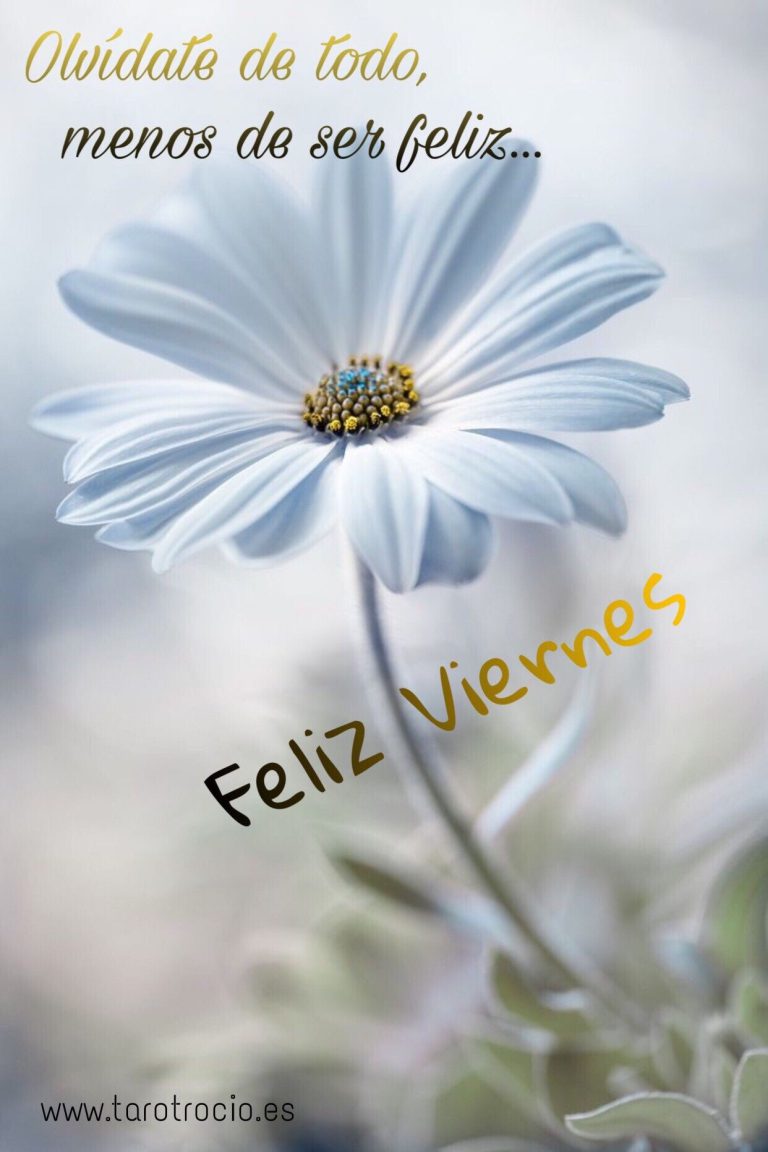 Imagenes De Un Viernes
