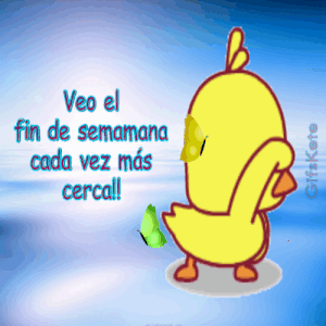 Imágenes del día de hoy jueves
