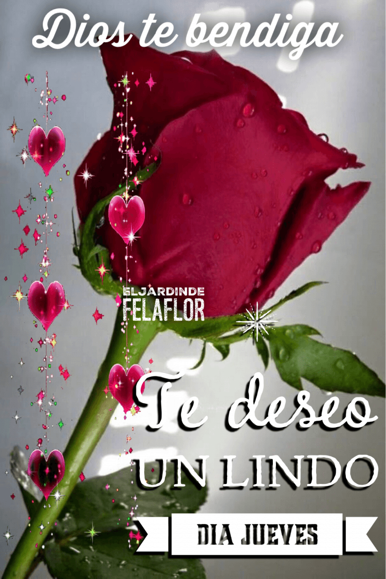 Imagenes Dia Jueves Para Whatsapp