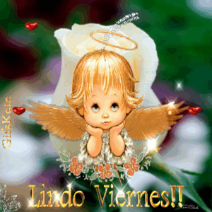Imágenes divertidas de hoy es viernes