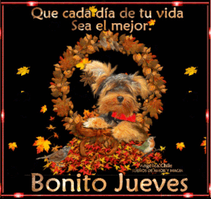 Imágenes feliz jueves mi amor para celular descargar