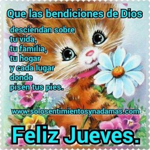 Imagenes Feliz Jueves Para Facebook Para Celular Descargar