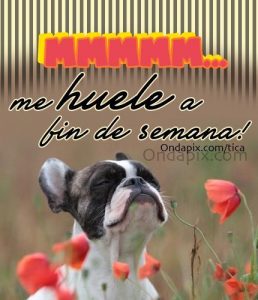 Imagenes Graciosas De Fin De Semana Largo