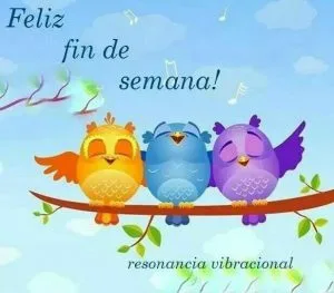 Imágenes graciosas fin de semana
