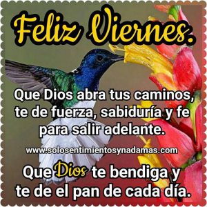 Imagenes Hoy Es Viernes A Disfrutar