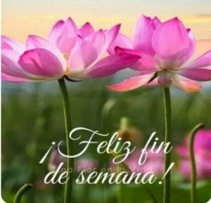 Imagenes Lindas De Fin De Semana