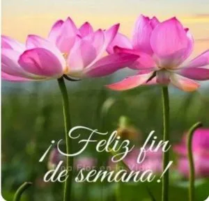 Imágenes lindas de fin de semana