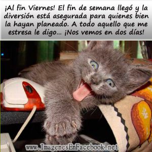 Imagenes Lindo Viernes Para Whatsapp